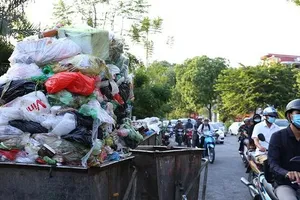 Bảo đảm an toàn thực phẩm, giá cả ổn định, không để ùn ứ rác thải dịp tết