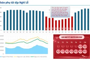 EVN: Không cắt điện dịp Tết Nguyên đán Bính Ngọ 2026