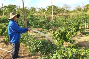 Tháng 3, nắng nóng diện rộng tại Đông Nam bộ