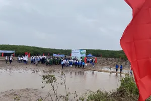 Hàng trăm người trồng cây gây rừng tại vùng đất ngập nước Thái Thụy 