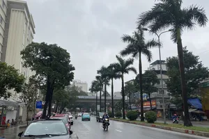 Phía Bắc có đợt không khí lạnh, chuyển rét từ đêm 9-3