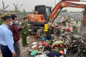 Thu giữ 600kg nầm heo đông lạnh không rõ nguồn gốc