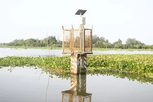 Nắng nóng khiến xâm nhập mặn gia tăng cục bộ tại ĐBSCL