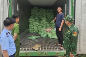 Lực lượng chức năng kiểm tra các lô thực phẩm không rõ nguồn gốc tại tỉnh Quảng Ninh. Ảnh: DMS