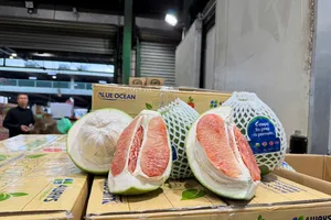 Lô bưởi đầu tiên của Việt Nam đã có mặt tại Australia