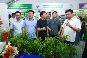 Phát triển dược liệu theo hướng hàng hóa và kinh tế xanh