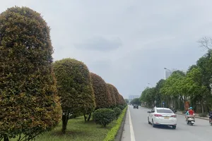 Sáng 25-4: Chất lượng không khí ở TPHCM, Hà Nội mức trung bình