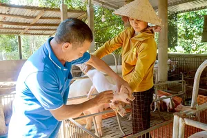 Giám sát hơn 1.000 mẫu xét nghiệm để phát hiện sớm virus SAT1