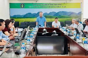 Nhiều địa phương chậm gửi mẫu dấu, xuất khẩu gạo thơm có thể bị ảnh hưởng