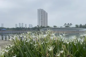 Từ nay đến 20-7: Bắc bộ và Trung bộ còn nhiều đợt nắng nóng, Nam bộ nhiều ngày mưa dông