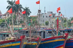 Tỉnh Quảng Ninh và Ninh Bình cấm biển từ trưa và chiều 3-7 