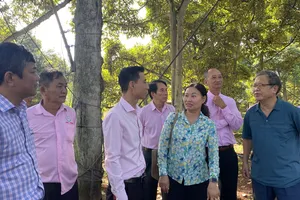 Đoàn công tác của Hội Làm vườn Việt Nam tham quan một vườn sầu riêng tại tỉnh Đồng Nai. Ảnh: PHÚC HẬU 
