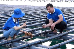 Hơn 1.200 hồ sơ giao, sử dụng khu vực biển được cập nhật trên hệ thống quốc gia