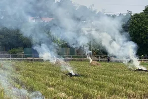Hà Nội vào mùa gặt, nỗi lo ô nhiễm không khí do đốt rơm rạ