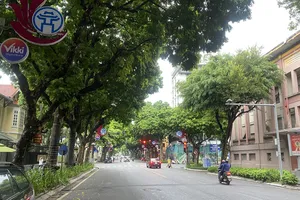 Hôm nay, TPHCM tiếp tục có mưa, triều cường sắp lên lại