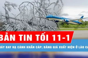 Bản tin tối 11-1: Nguyên nhân máy bay Vietnam Airlines phải hạ cánh khẩn cấp ở Đà Nẵng; Băng giá xuất hiện ở huyện Mù Cang Chải 