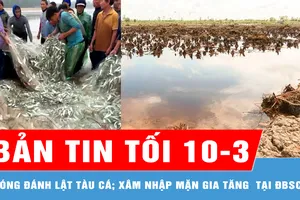 Bản tin tối 10-3: Vừa trúng đậm 1,5 tấn cá trích, tàu của ngư dân bị sóng đánh lật; ĐBSCL đối mặt xâm nhập mặn gia tăng