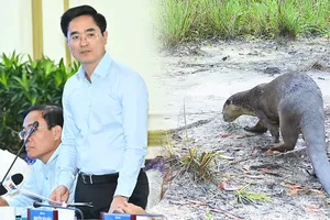 Podcast bản tin tối 2-4: Giám đốc Sở Giao thông Công chánh TPHCM nói về thu phí ô tô dưới lòng đường bị lỗ; Rái cá quý hiếm ở Vườn Quốc gia Phú Quốc