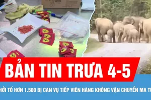 Bản tin trưa 4-5: Đàn voi rừng đi vào KCD ở Đồng Nai; Khởi tố hơn 1.500 bị can liên quan vụ tiếp viên hàng không vận chuyển ma túy
