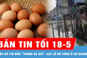 Bản tin tối 18-5: Bác bỏ tin đồn “trứng gà giả”; Sạt lở bờ sông ở An Giang, 10 căn nhà bị thiệt hại