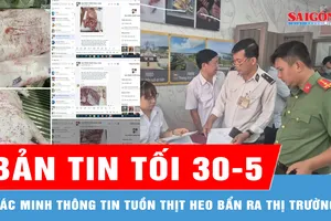Bản tin tối 30-5: Xác minh thông tin tuồn thịt heo, gà bẩn ra thị trường