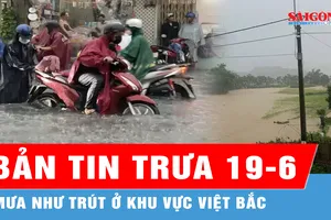 Bản tin trưa 19-6: Mưa như trút ở khu vực Việt Bắc