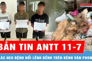 Bản tin ANTT 11-7: Xác heo bệnh nổi lềnh bềnh trên kênh; Khởi tố 14 đối tượng cướp tài sản, gây rối trật tự