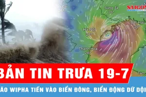 Bản tin trưa 19-7: Bão Wipha tiến vào Biển Đông, biển động dữ dội
