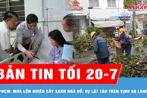 Bản tin tối 20-7: TPHCM: Mưa lớn nhiều cây xanh ngã đổ; Vụ lật tàu trên vịnh Hạ Long: Sức khỏe 10 nạn nhân ổn định
