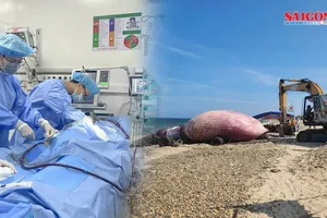 Podcast bản tin tối 3-8: Bé trai truỵ tim mạch, thoát cửa tử sau 14 ngày; Phát hiện xác cá ông dài 11m, nặng 8 tấn