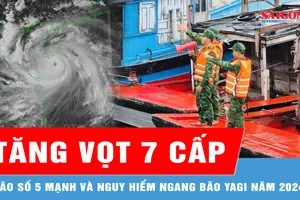Bão số 5 tăng vọt 7 cấp, mạnh và nguy hiểm ngang bão Yagi năm 2024 