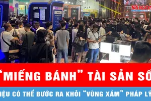 Podcast: Sôi sục “miếng bánh” tài sản số tỷ USD