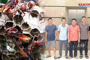 Podcast bản tin ANTT 8-9: Liên tiếp bị ong vò vẽ tấn công, hai người tử vong; Khởi tố 10 đối tượng liên quan đưa, nhận, môi giới hối lộ