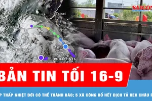 Bản tin tối 16-9: Áp thấp nhiệt đới có thể thành bão; Có 5 xã công bố hết dịch tả heo châu Phi