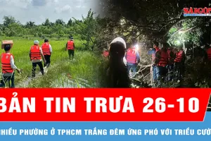 Bản tin trưa 26-10: Phường Phú An, Tây Nam (TPHCM): Trắng đêm ứng phó với triều cường