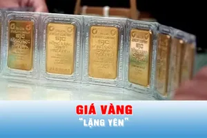 Podcast bản tin tối 4-11: Chiều 4-11, giá vàng “lặng yên”
