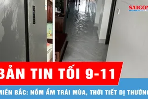 Bản tin tối 9-11: Miền Bắc: Nồm ẩm trái mùa, thời tiết dị thường