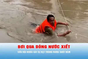 Podcast bản tin tối 4-12: Hành trình giải cứu đội khảo sát bị kẹt trong rừng do mưa lũ