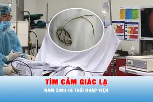 Bản tin 17 giờ 7-12: Làm theo video để tìm cảm giác lạ, nam sinh 16 tuổi nhập viện