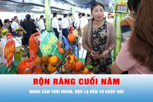 Podcast tin trưa 20-12: "Phiên chợ nông sản vùng miền - Bình Đông" có gì thú vị?