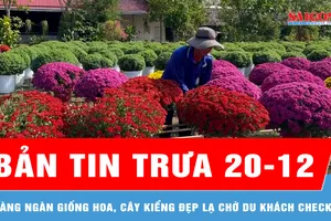 Bản tin trưa 20-12: Hàng ngàn giống hoa, cây kiểng đẹp lạ chờ du khách check-in
