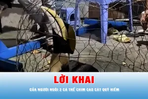 Podcast bản tin 17 giờ 5-1: Người nuôi chim Cao Cát quý hiếm khai gì?