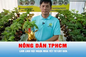 Podcast bản tin tối 20-1: Nông dân TPHCM làm linh vật ngựa mùa Tết từ cây dừa