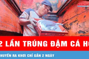 Ngư dân chia sẻ về 2 lần trúng đậm hàng tấn cá hố