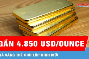 Giá vàng thế giới lập đỉnh mới, gần 4.850 USD/ounce