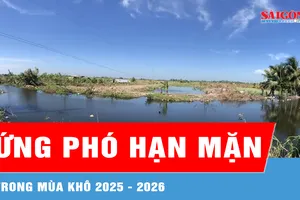 Vĩnh Long: 2 kịch bản ứng phó hạn mặn trong mùa khô 2025 - 2026 
