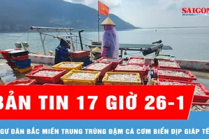 Bản tin 17 giờ 26-1: Ngư dân Bắc miền Trung trúng đậm cá cơm biển dịp giáp tết