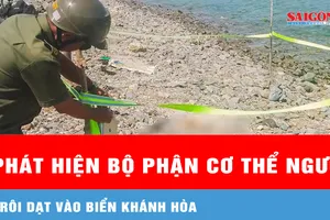 Phát hiện bộ phận cơ thể người trôi dạt vào biển Khánh Hòa