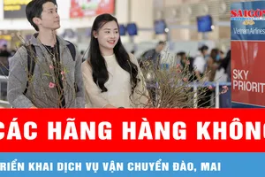 Các hãng hàng không triển khai dịch vụ vận chuyển đào, mai