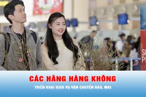 Podcast tin 17 giờ 26-1: Các hãng hàng không triển khai dịch vụ vận chuyển đào, mai